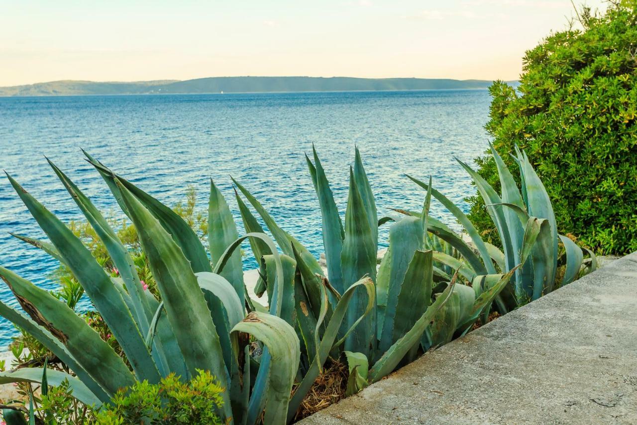 Holiday Home Lola, Sea On A Palm! Heated Pool Трогир Экстерьер фото